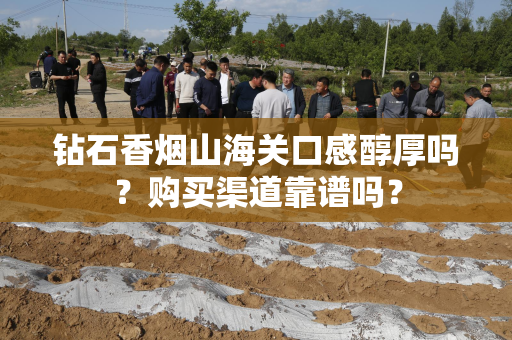 钻石香烟山海关口感醇厚吗？购买渠道靠谱吗？